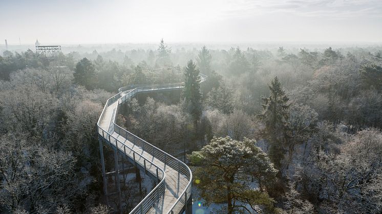 In dem verwunschenen Areal des Baumkronenpfad kann man einfach mal die Seele baumeln lassen. Foto: TMB-Fotoarchiv/Steffen Lehmann.   