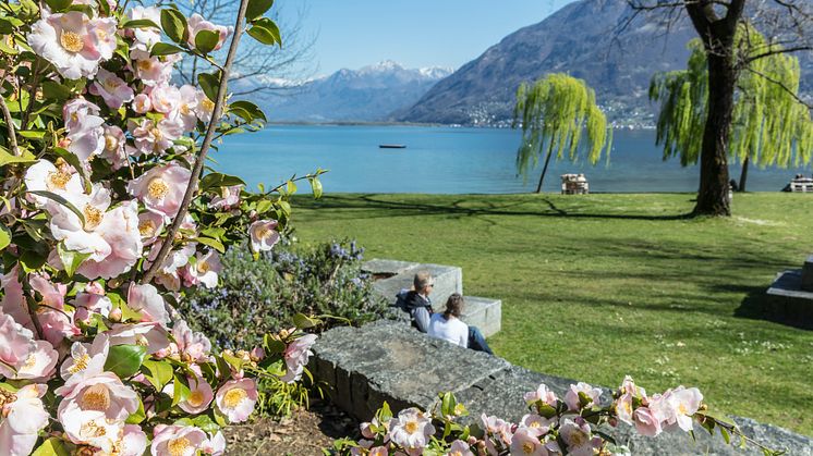 KamelienparkLocarno(c)AsconaLocarnoTourism_AlessioPizzicannella