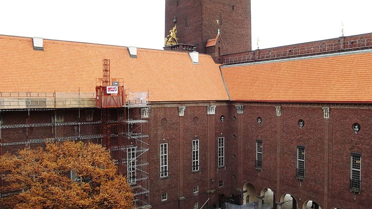 Stockholms Stadshus handslaget Dantegl
