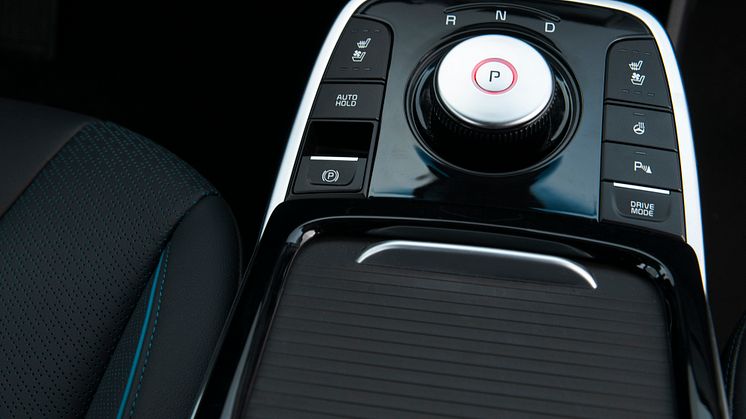 Kia Niro EV_detail_05