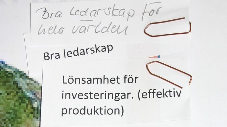 Polarbröds Utstickarpris till bra ledare för hela världen