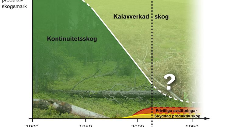 Utvecklingen efter trakthyggesbrukets införande.