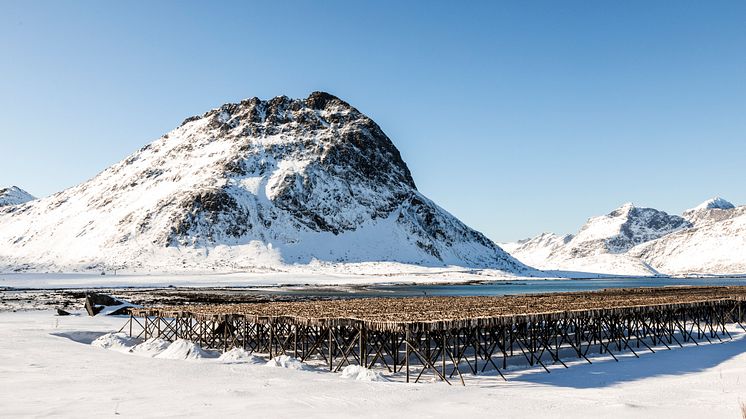 Lofoten og tørrfiskhjell