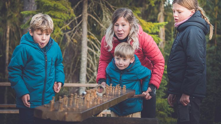 Familjeäventyr på Expedition Vargnatt