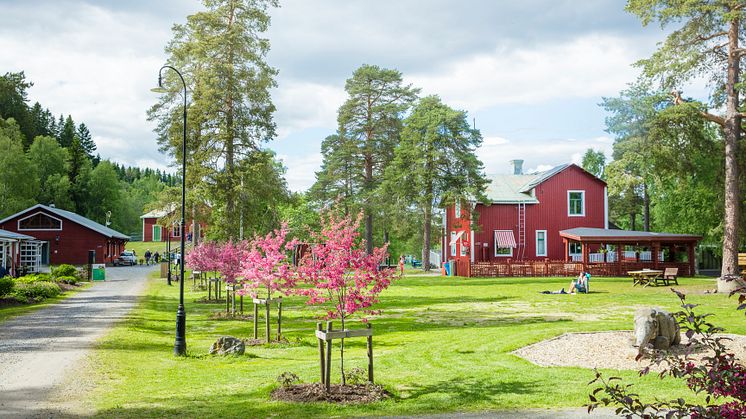 Umeå Energicentrum 1.jpg