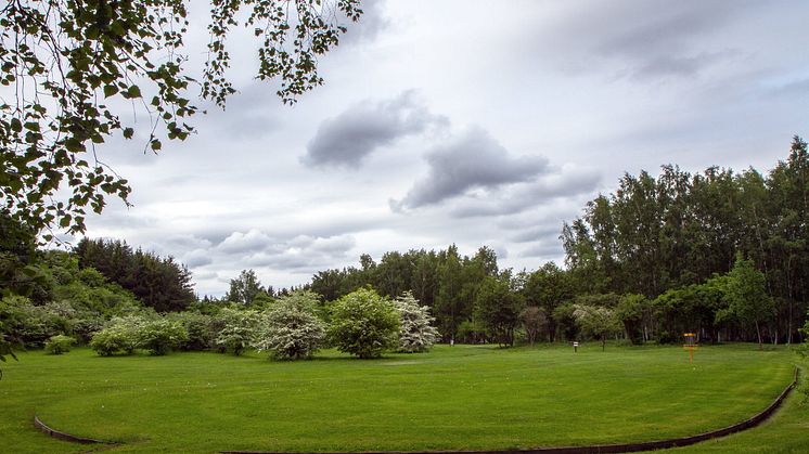 Järva DiscGolfPark, Stockholm