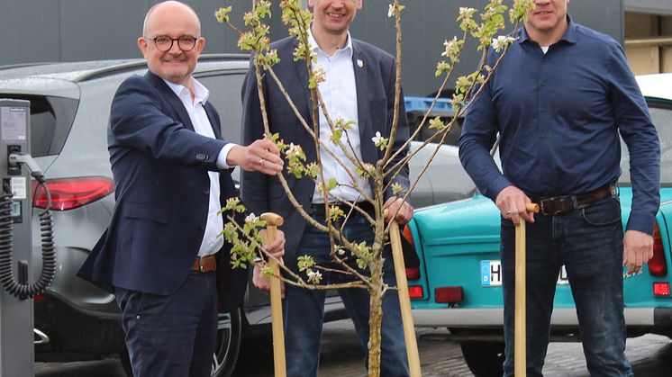 Geschäftsführer Andreas Speith, Bürgermeister Clemens Pommerening und Betriebsstellenleiter Heiko Hoppe pflanzen einen Obstbaum zur Eröffnung der neuen Betriebsstelle in Lauenstein (v. l.)