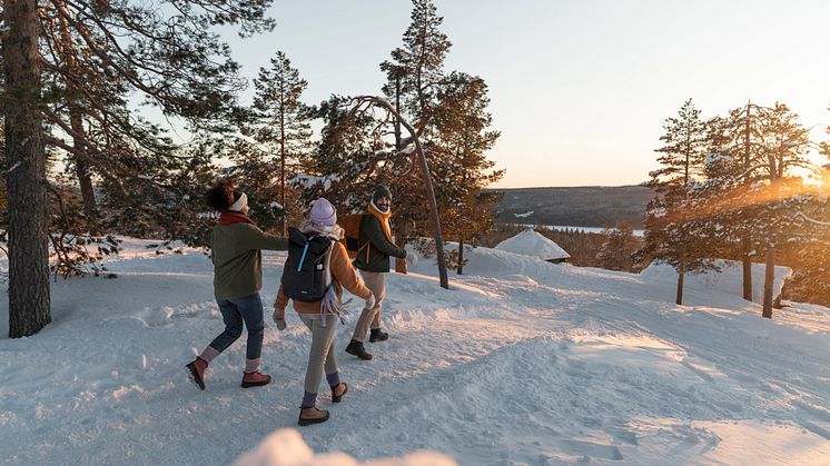 I över 20 år har Icebug tillverkat dubbskor för att få fler i rörelse under vintern och förebygga halkskador. 