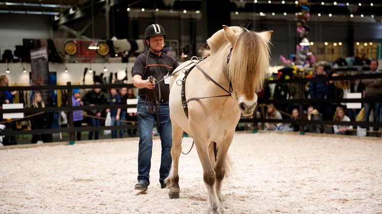 EuroHorse 2012