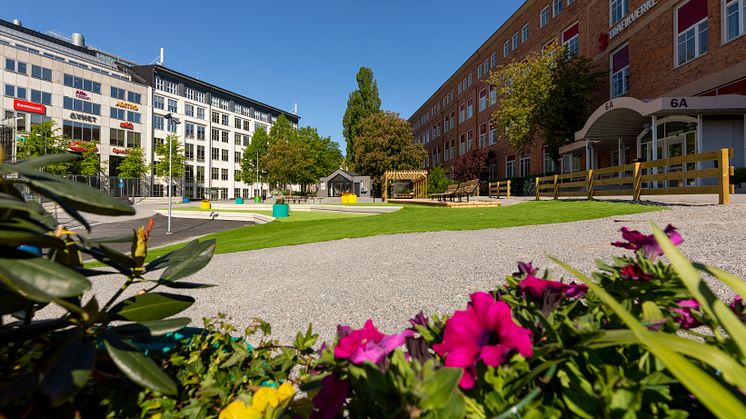Flera verksamheter slår djupare rötter i ett Sundbyberg med ständigt ökande attraktivitet