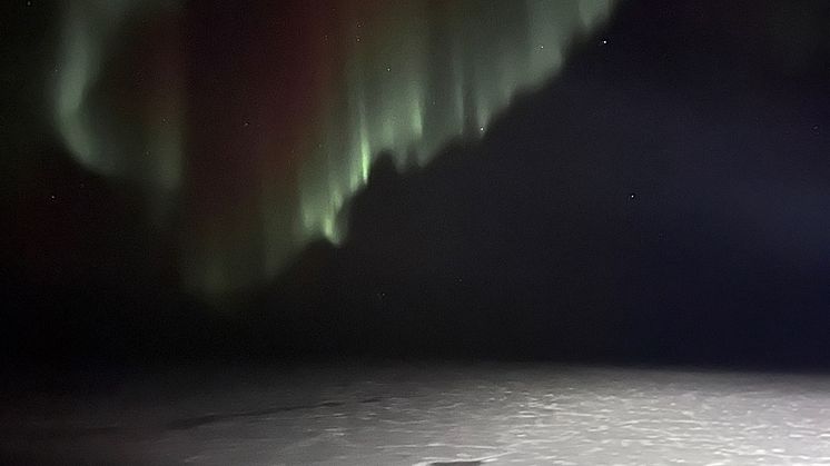 Northern lights shine over the sea ice in the Barents Sea. Photo: Malin Daase