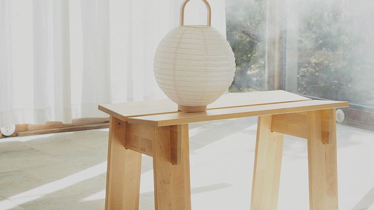 BASTUA bænk 495 DKK (1)