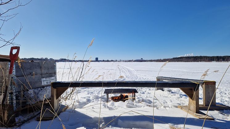 Ön Grytan ligger intill isbanan på Nördfjärden i centrala Piteå. Inför påskhelgen finns ved och sittbänkar utställda på ön. Foto: Per Ljus