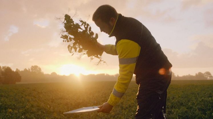 Svenskt Sigills uppdaterade Klimatcertifiering bidrar till minskat klimatavtryck för Findus ärtodling