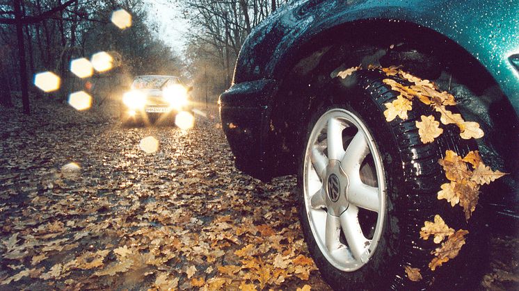 Herbst-Check fürs Auto sinnvoll