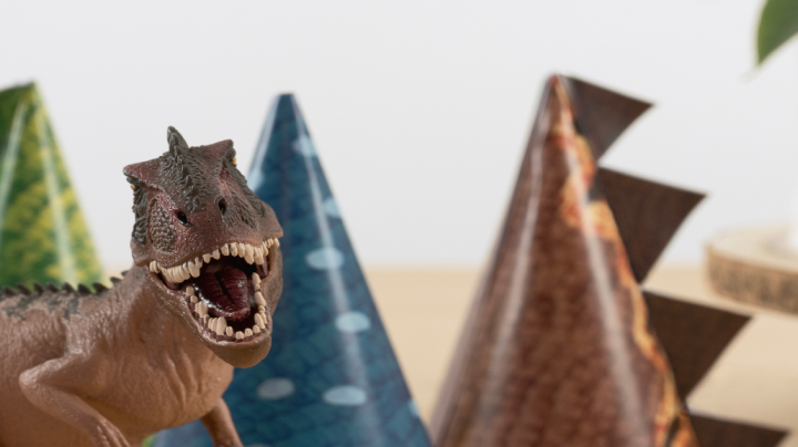 birthday party_Dinosaurs_party hats