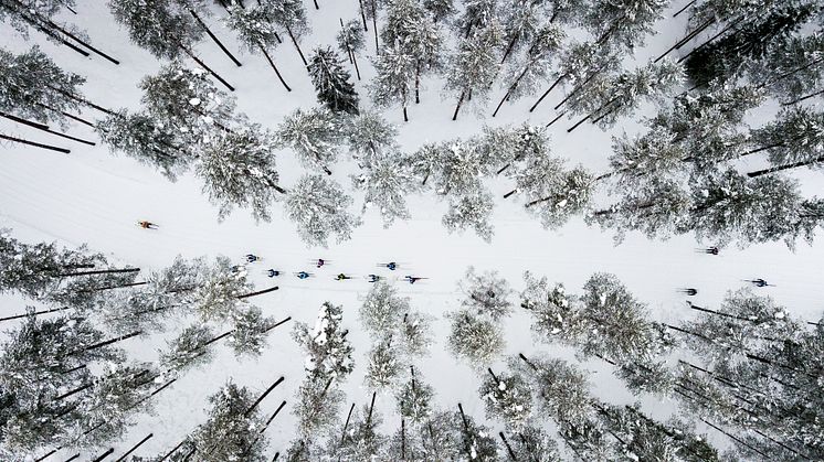 Inbjudan media: Välkommen att bevaka Vasaloppets vintervecka 2024