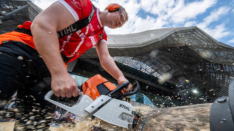 Timbersports_WT2024_Pedersen_MS_1075.jpg