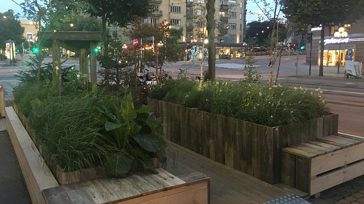 Så här såg Umeå kommuns popup-park ut på plats på Avenyn i Göteborg tidigare i sommar.