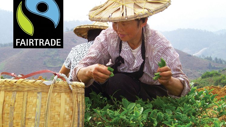 Sodexo serverar 11 miljoner koppar Fairtrade-kaffe 