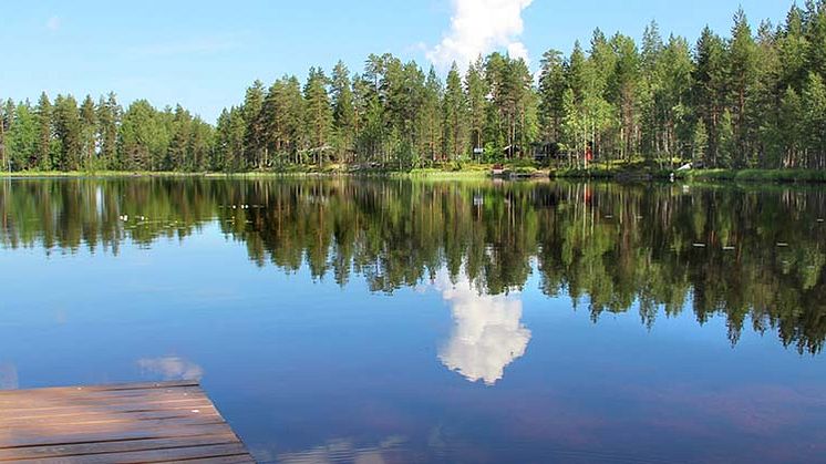 Bilden visar inte Kungsgårdsholmarna, utan är ett exempel på ett område som berörs av strandskydd. Foto: Mostphotos.