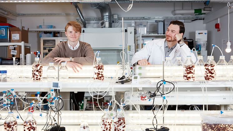 Volta Greetechs medgrundare Fredrik Åkerman och Angelo Demeter. Foto: Volta
