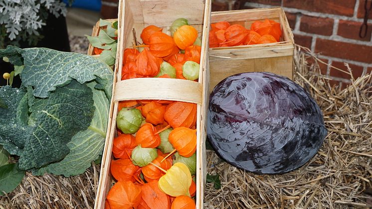 Kreativmarkt Herbstzeit © Tourismus-Service Fehmarn