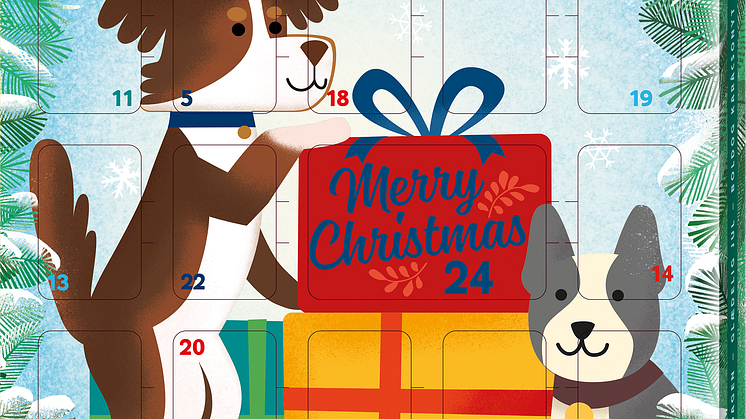 MultiFit Adventskalender für Hunde, UVP: 4,99 €