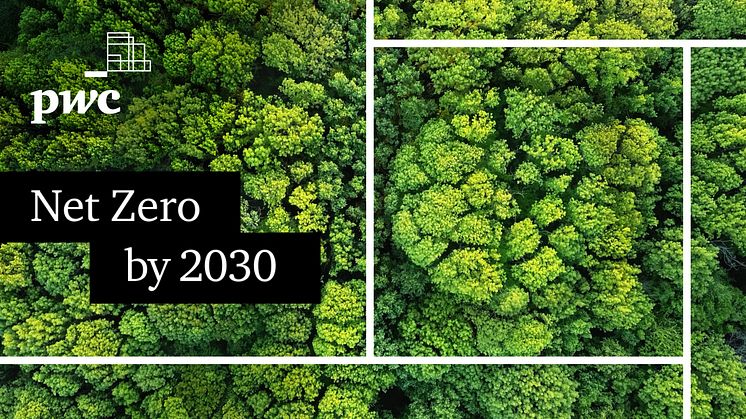 PwC commits to net zero by 2030, globally