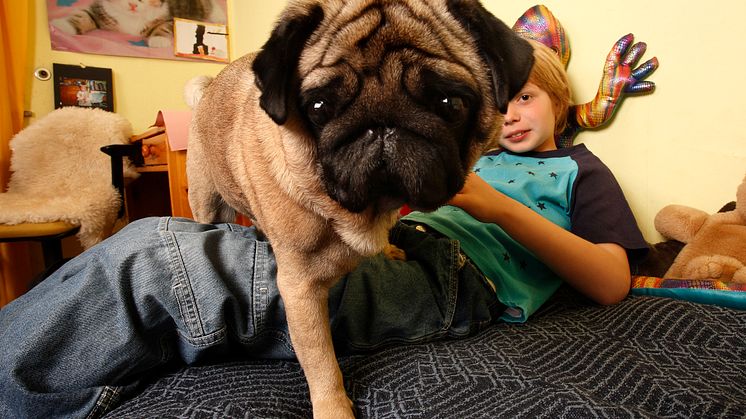 Junge_mit_mops
