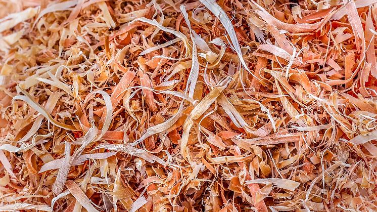 Svebio menar att det finns gott om biobränslen som kan täcka energibehoven under de kommande 15-20 åren. Foto: Pixabay