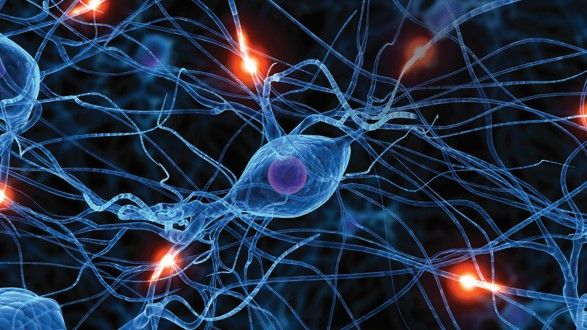 Vikten av ett starkt ekosystem inom Lifescience