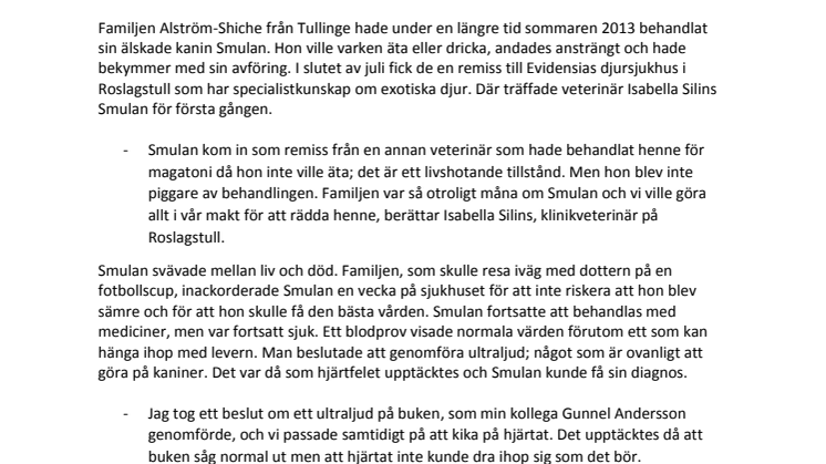 Så räddades Kaninen Smulan med ultraljud