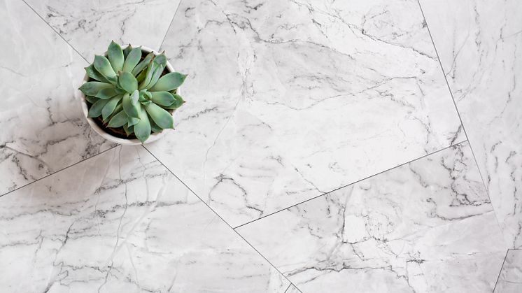 succulent-in-a-pot-on-a-marble-tile-scandinavian-2022-05-25-09-19-21-utc