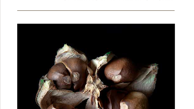 Seedways. The circulation, control and care of plants in a warming world.