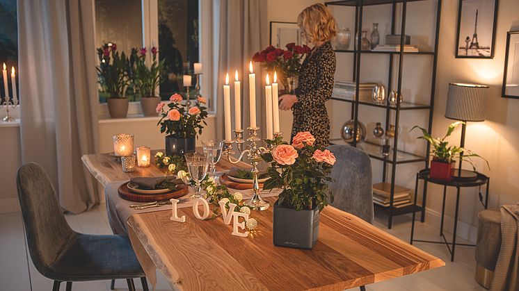 Let Love Grow - Bunte Blumen zum Valentinstag