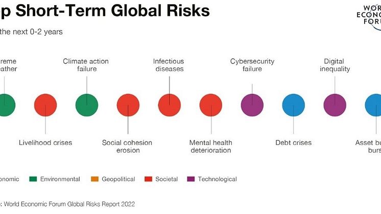 Top_Short_Term_Global_Risks.jpg