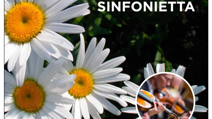 Försommarkonsert med Västerås Sinfonietta