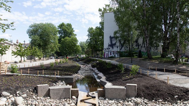 Klosterenga park 07.06.2023 HR-19