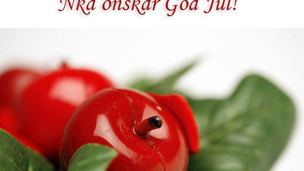 Årets sista nyhetsbrev från Nka