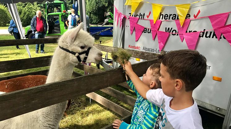 Tag der offenen Tür im Kinderhospiz: Bärenherz-Familienfest lockt mehr als 1.500 Besucher in den Kees’schen Park