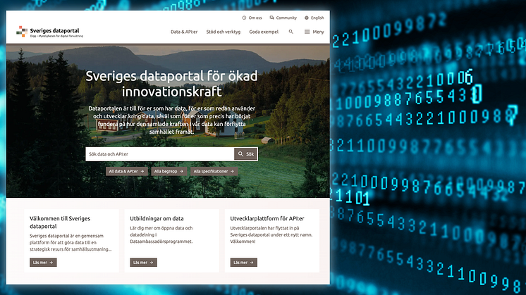 Dataportal ettor och nollor