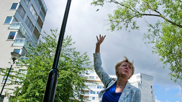 Ulla Hamilton (M): Smart belysning på Kungsholms strand halverar energiförbrukningen