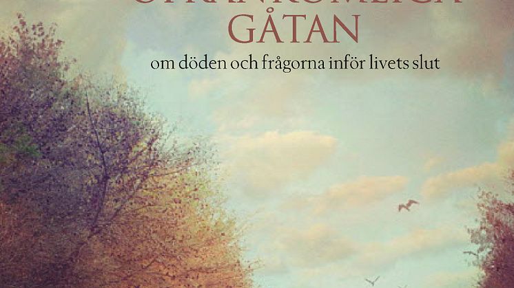 Bokomslag: Den ofrånkomliga gåtan