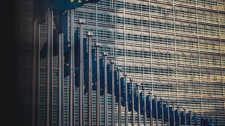 christian-lue-MZWBMNP7Nro-unsplash (1).jpg
