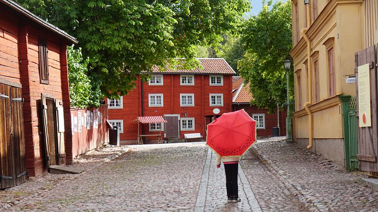 Friluftsmuseet Gamla Linköping