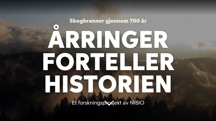 Hvordan vet vi det? - Ny utstilling på Anno Norsk skogmuseum