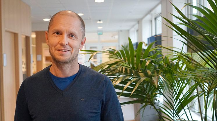 Johan Pettersson, Dalarnas Försäkringbolag
