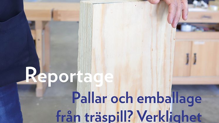 reportage_2024_RIK-Symbios_kvadratiskt.jpg