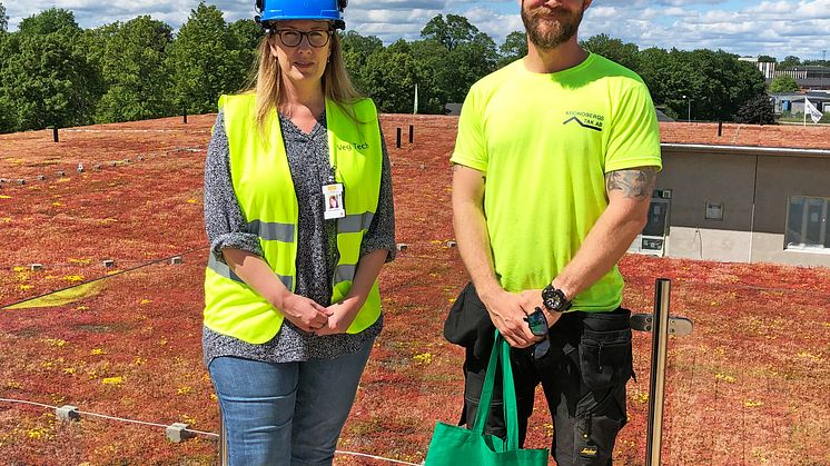 3000m² sedumtak på sigfridsområdet i Växjö